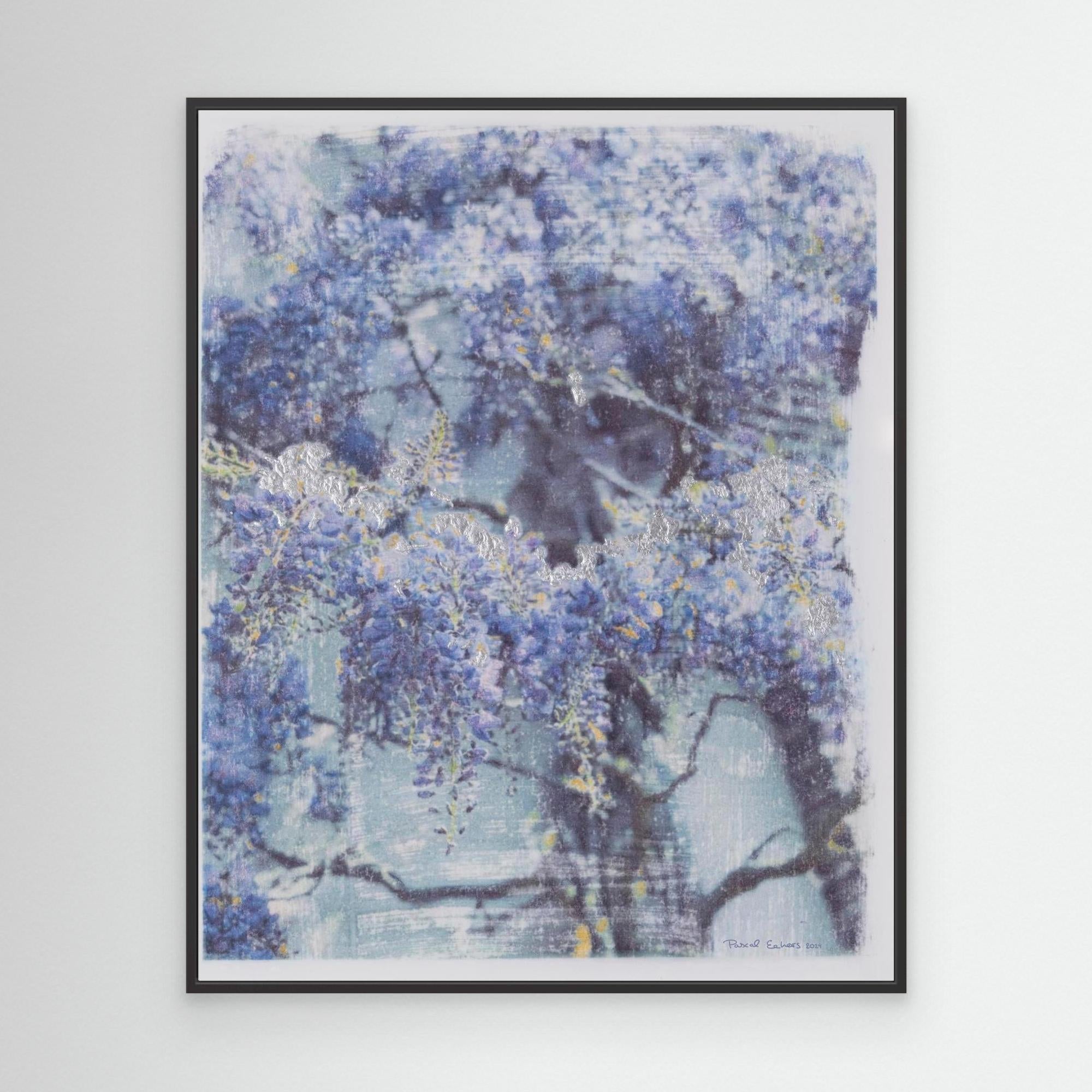 De Haere wisteria