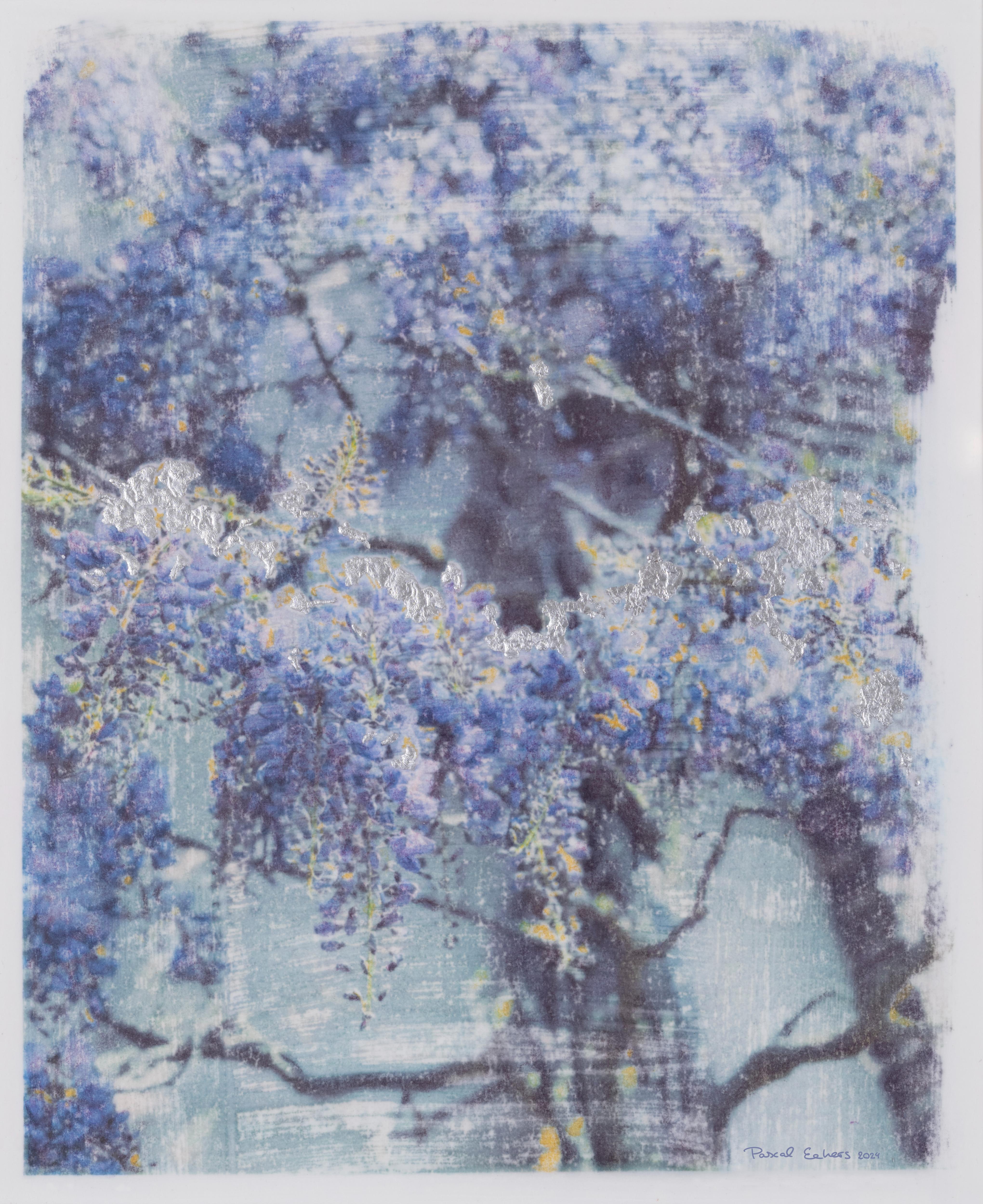 Original Works De Haere wisteria