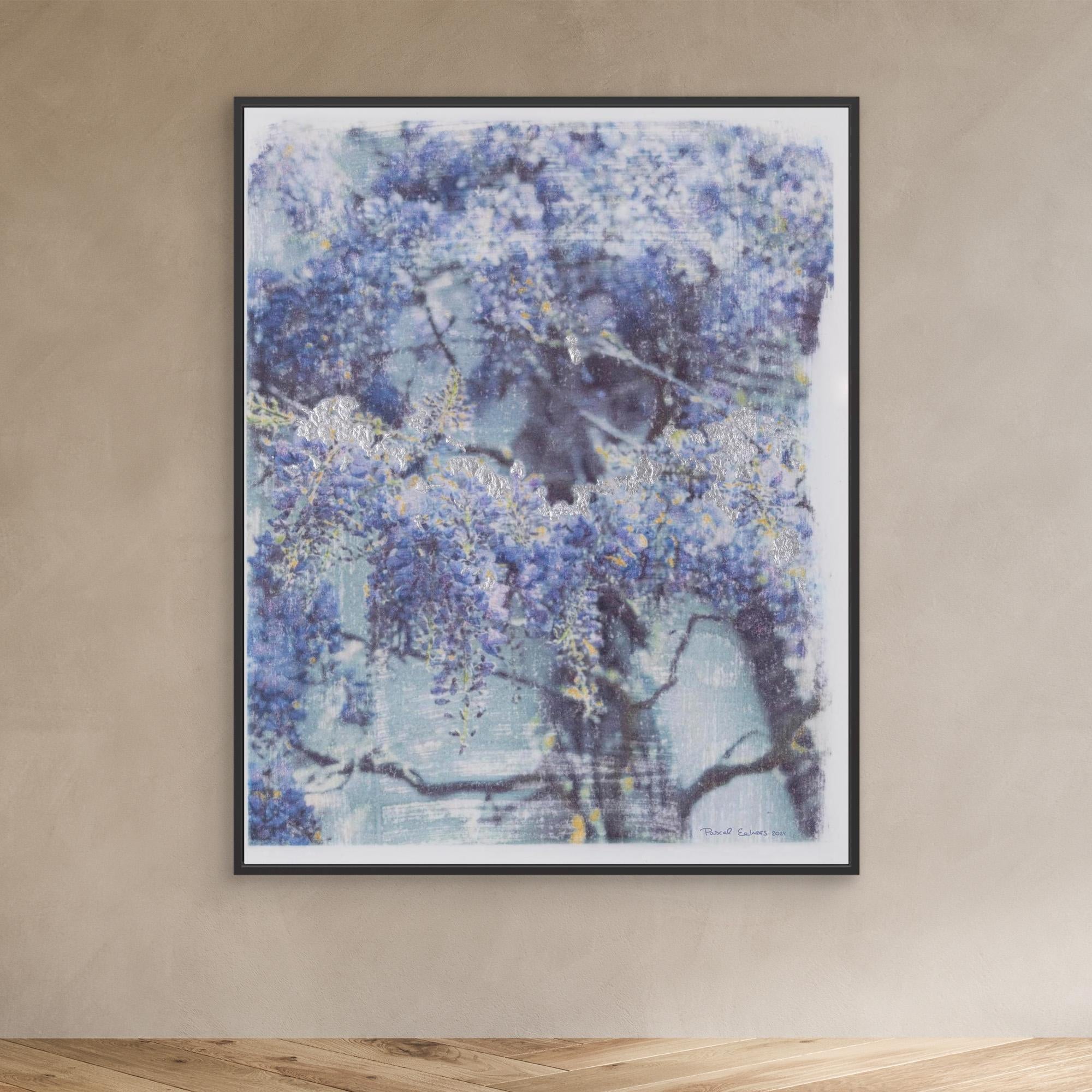 De Haere wisteria
